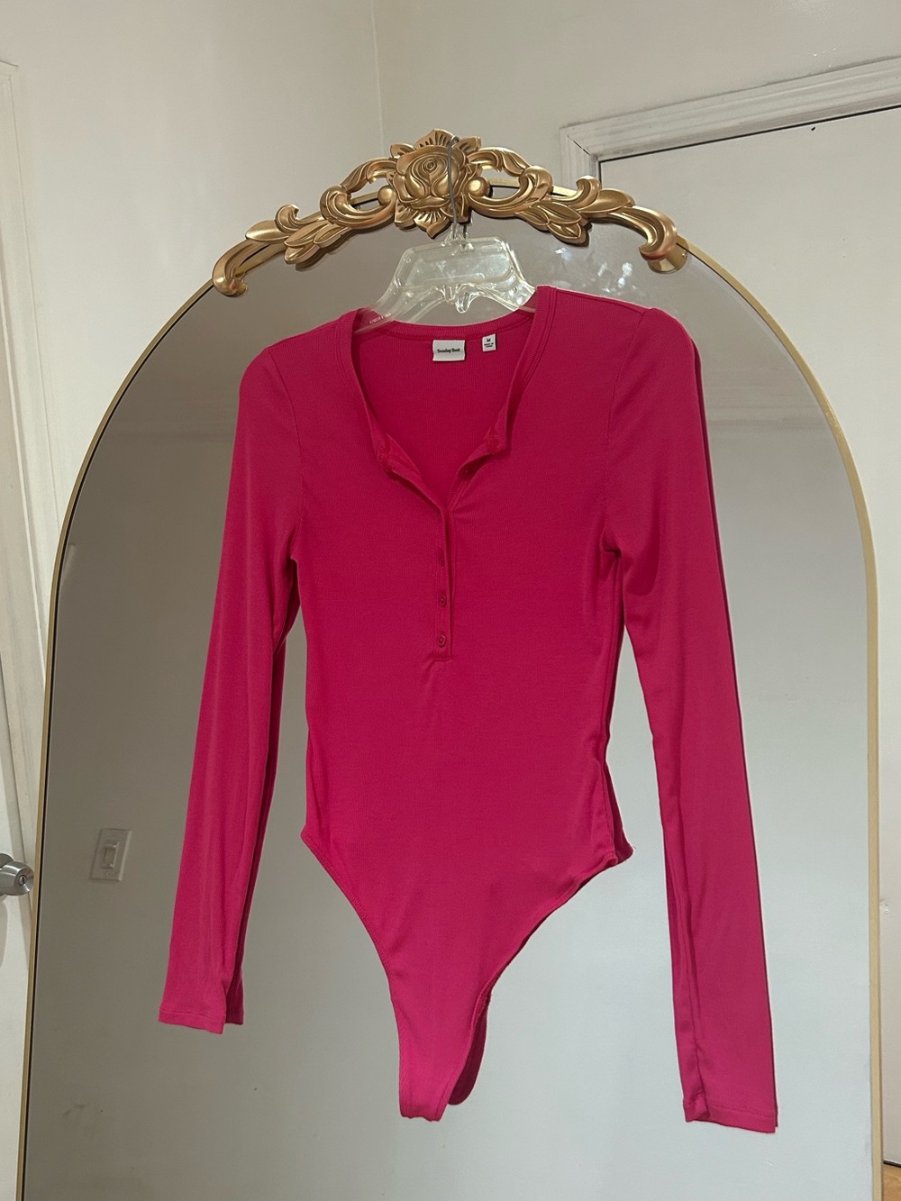 Aritzia Sunday Best Henley Pink Soft Long-Sleeve Thong Bodysuit, Size M